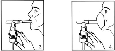 Picture 5 (Image 6)