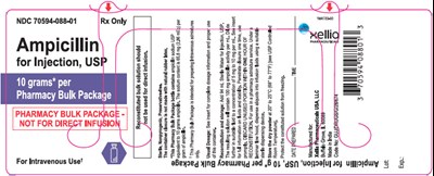 astral-ampicilin-02.jpg PRINCIPAL DISPLAY PANEL - 10 gram Bottle Label - astral ampicilin 02