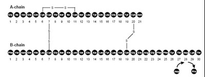 Structural Formula (Fig1 Structure)