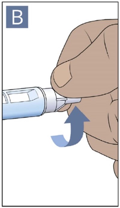 Figure B (Ifu Pen Figure B)