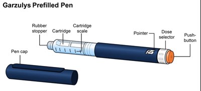 Garzulys Prefilled Pen (Ifu Pen Image)