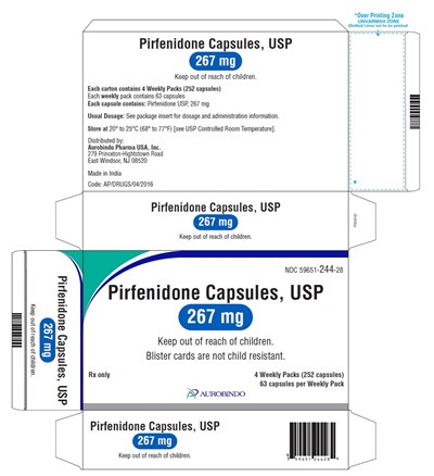 Package Label.principal Display Panel (Maintenance Carton Pack)