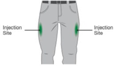 Figure B. Inject Into Middle Of The Outer Thigh (Image 03)