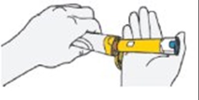 Patient Information Figure I (Image 09)