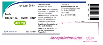 PACKAGE LABEL-PRINCIPAL DISPLAY PANEL - 300 mg (100 Tablet Bottle) - allopurinol fig2