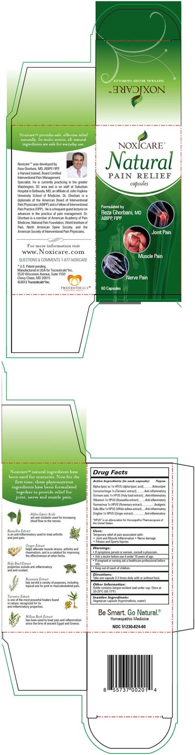 Principal Display Panel (60 Capsule Bottle Carton)