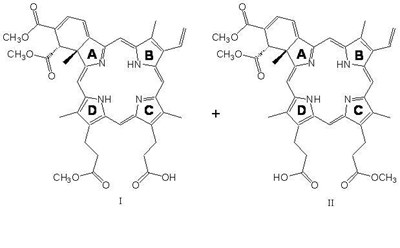 Verteporfin Regioisomer Structures (41e7889e A183 4fea 9e12 63052f878cc0 01)