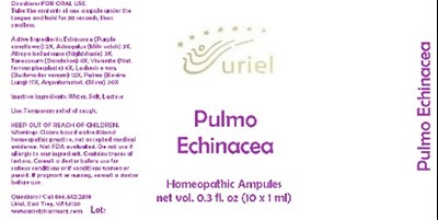 PulmoEchinaceaAmpules.jpg PulmoEchinaceaAmpules