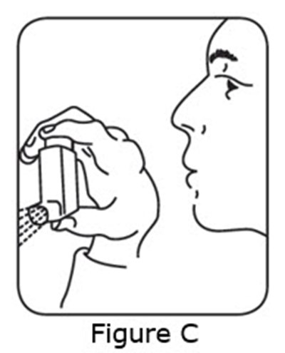 Figure C (Albuterol Sulfate Hfa N021457 6)