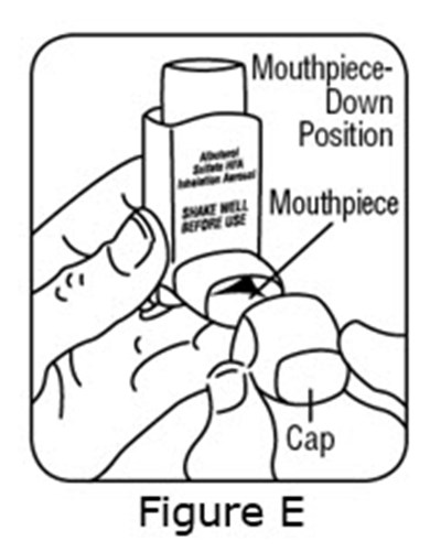 Figure E (Albuterol Sulfate Hfa N021457 8)