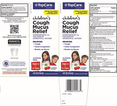 Dextromethorphan HBr 5 mg, Guaifenesin 100 mg - childrens mucus relief cough cherry liquid 1