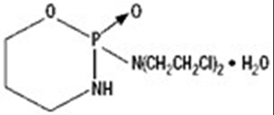 cyc0c-0000-01.jpg structure - cyc0c 0000 01