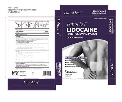 Box With 5patches (Lidocaine4 Box 83655 109 15)