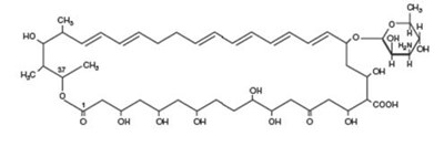 nystatin chemical structure - nystatin chemical structure