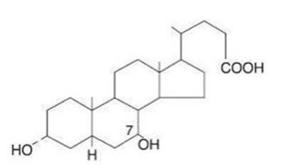 ursodiol-caps-usp-structure.jpg image description - ursodiol caps usp structure