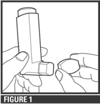Figure 1 (Xop00 0004 03)