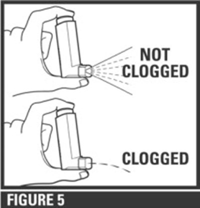 Figure 5 (Xop00 0004 07)