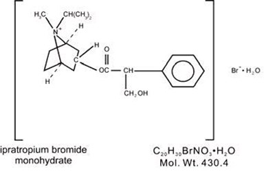 97e130d5-figure-01 (97e130d5 Figure 01)