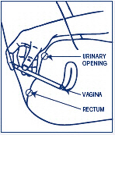 Image (Clotrimazole 07)