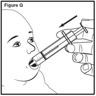 Figure G (Sephience 11)
