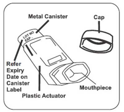 ca017981-2752-46e0-9a66-418535597d31-05.jpg Figure A - ca017981 2752 46e0 9a66 418535597d31 05