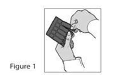 Figure 4 (Image 5)