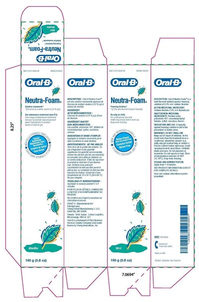 Product Label (Mint Methe Foam)