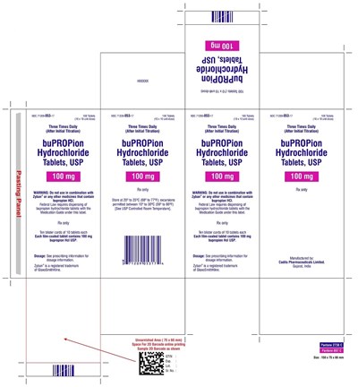 Bupropion-spl-carton-label-100mg.jpg (Bupropion Spl Carton Label 100mg)