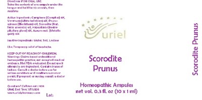 Scoroditeprunusampules
