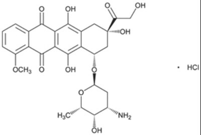 1 (Image 1)