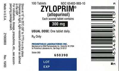 300 mg 100 Tablets Bottle (Zyloprim Tablets 04)
