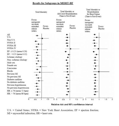 8acdcf84-bc5c-4824-85c4-d484825f00ba-02.jpg merit hf - 8acdcf84 bc5c 4824 85c4 d484825f00ba 02