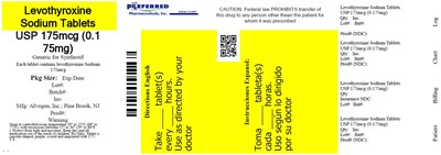 Levothyroxine Sodium Tablets USP 175mcg (0.175mg) - 25mcg label