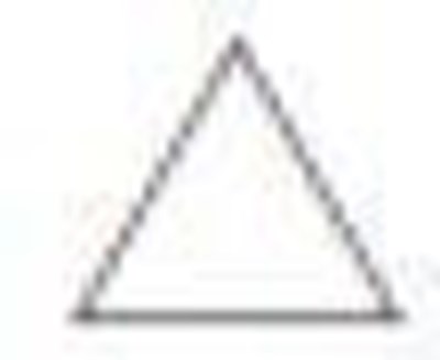 Precautions Icon (Manual Caution Icon)