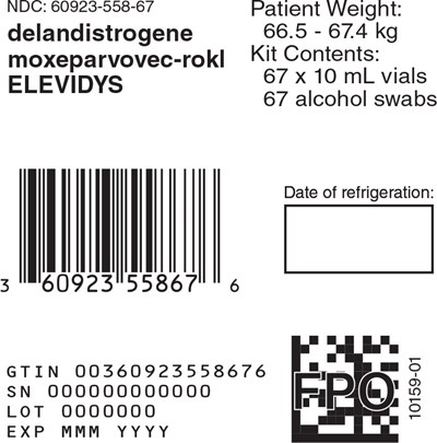 Principal Display Panel -10 mL 67 count Carton Label - ele03 0003 62