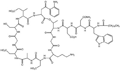 Chemical Structure (Daptomycin Str)