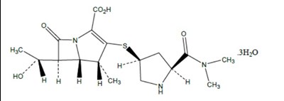 Structutre (Structure1)