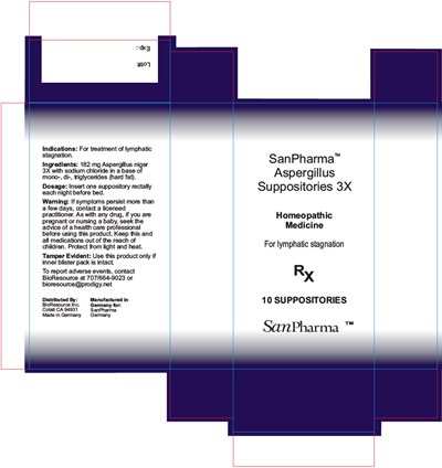 Principal Display Panel (10 Suppository Blister Pack Box)