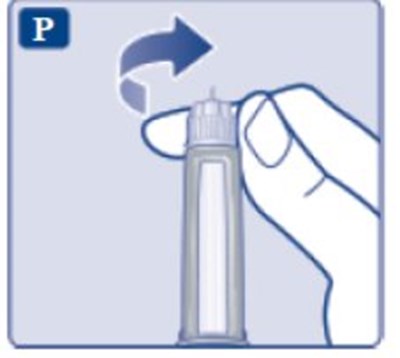 Fig. P (Image 93)
