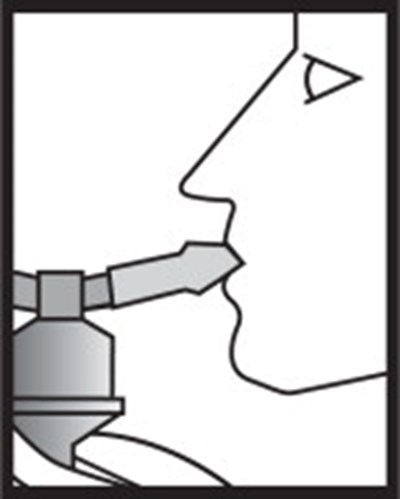 Figure 4 (35eb525b 72a5 4ef9 A36a 531e9e6b3560 09)