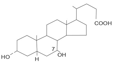 Structure (5e248968 A19d 4b59 9873 Fba89f6b7fb1 01)
