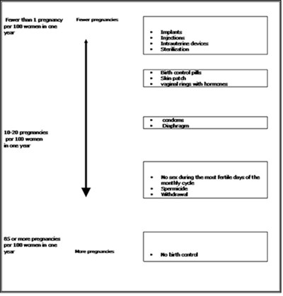Calendar (Norelgestromin And Ethinyl Estradiol Transdermal S 13)