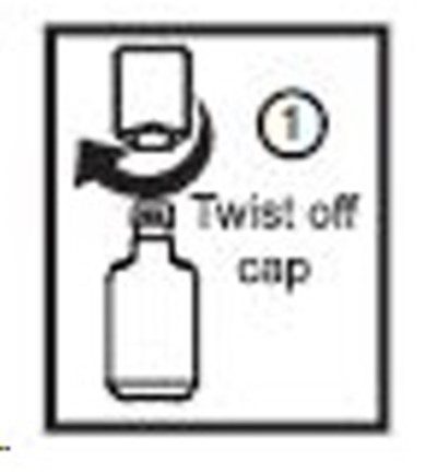 Image Description (Figure 1)
