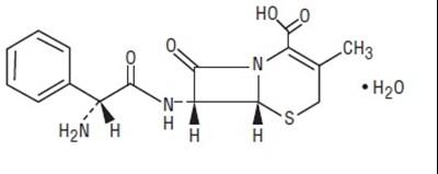 ceph-structur.jpg ceph-structur - ceph structur