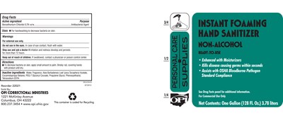 Instant Foaming Hand Sanitizer (22021)