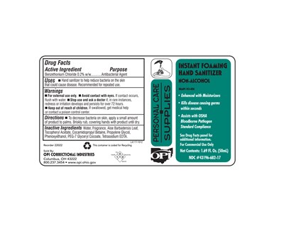 Instant Foaming Hand Sanitizer (22022)
