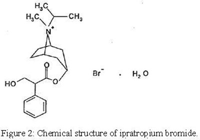 Figure 2: Chemical Structure Of Ipratropium Bromide. (Ipratropiumalbuterol Str2)