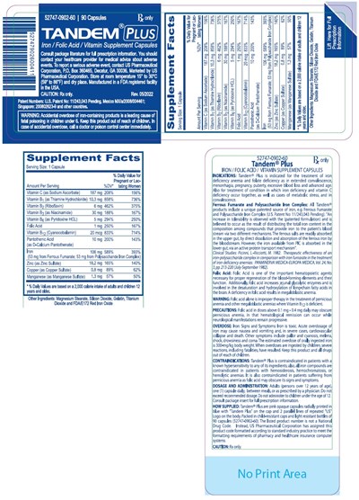 Tandemnw - 52747902 2