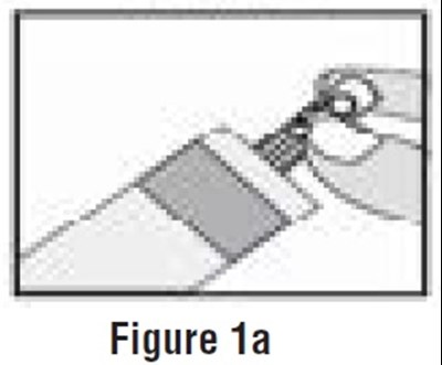 Image Description (Budesonide Inhalation Suspension Picture 1a)