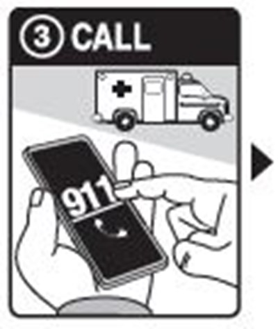 Step 3 (Commercial Image 3)